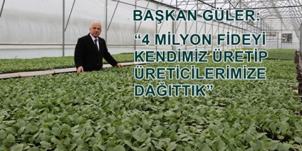 Ordu Büyükşehir Belediyesi 5 Yılda 4 Milyon Sebze Fidesi Dağıttı
